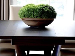 Mutfak Masa Sandalye Takımı Seçerken Nelere Dikkat Edilmelidir?