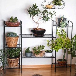 Oval Tasarımlı Metal Saksılık Çok Amaçlı Raf 8 Raflı 1262 Oval Tasarımlı Metal Saksılık Çok Amaçlı Raf 8 Raflı 1262