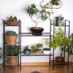 Oval Tasarımlı Metal Saksılık Çok Amaçlı Raf 8 Raflı 1262